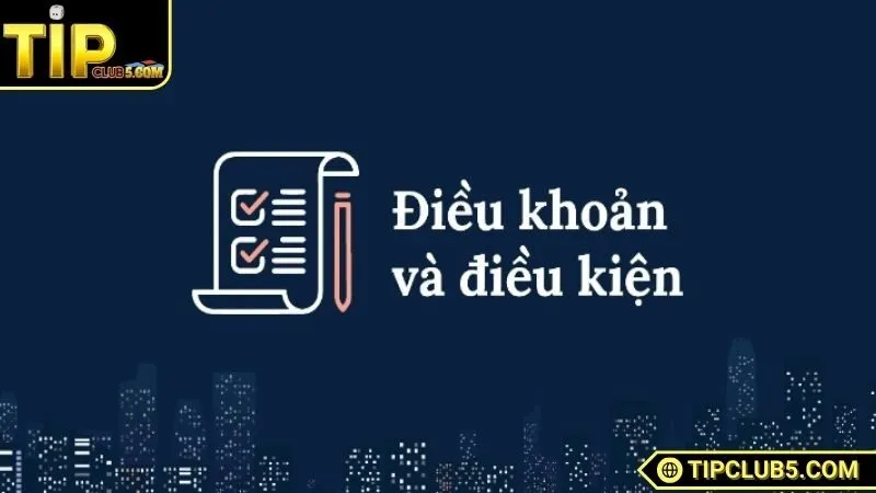Thông tin tổng quan về điều khoản và điều kiện