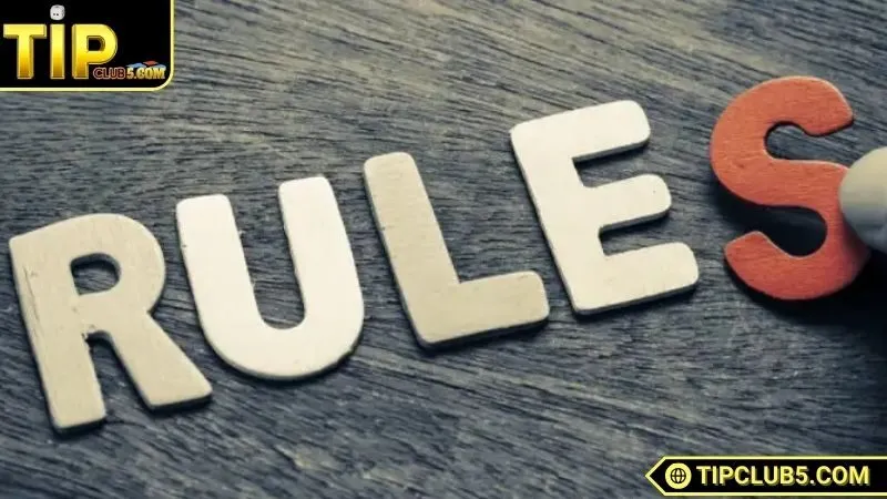 Thành viên cần chấp hành mọi điều khoản tại nền tảng