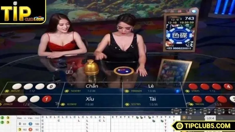 Tuyệt chiêu thắng lớn khi chơi Xóc Đĩa TIPCLUB